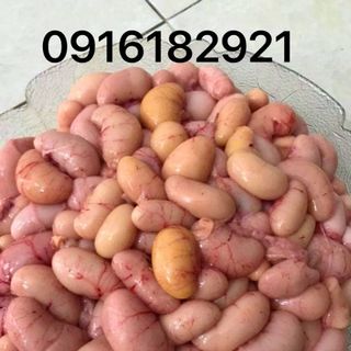 Kê gà,trứng non
