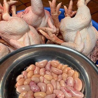 Kê gà,trứng non
