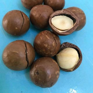 Hạt Macca Damaca đaklak