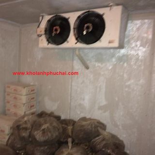 Kho lạnh bảo quản cá hồi KomTom