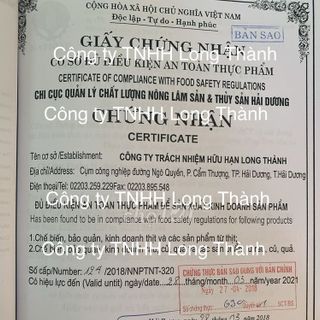 Thịt Lợn Sạch Đông Lạnh -