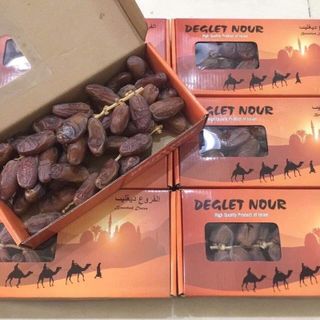 Chà là không nguyên cành Deglet Nou