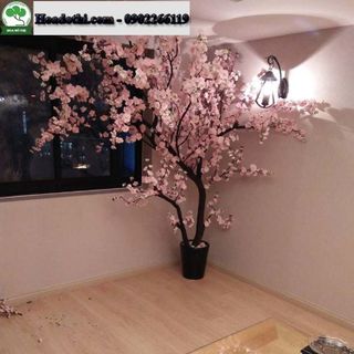 Cây Hoa Anh Đào Giả