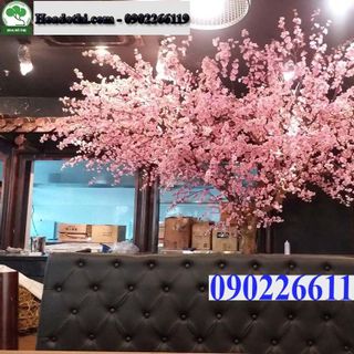 Cây Hoa Anh Đào Giả