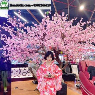 Cây Hoa Anh Đào Giả