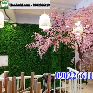 Cây Hoa Anh Đào Giả