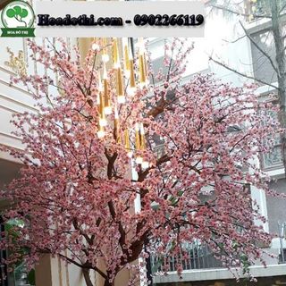 Cây Hoa Anh Đào Giả