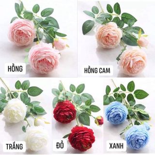 HOA LỤA QUẢNG CHÂU