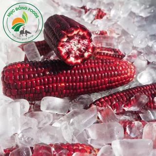 BẮP NỮ HOÀNG ĐỎ CHÍNH GỐC