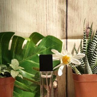 Nước Hoa Mini Narciso EDT 10ml xịt