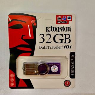 USB KINGSTON 101 4G