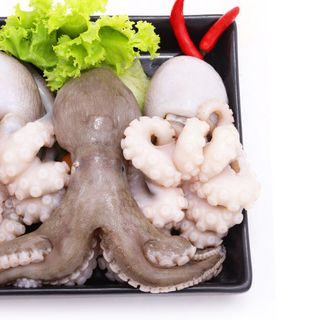 Bạch tuộc làm sạch đông lạnh 3-4 con/kg