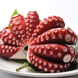 Bạch tuộc làm sạch đông lạnh 3-4 con/kg
