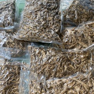 Sâm khô - sâm bố chính khô