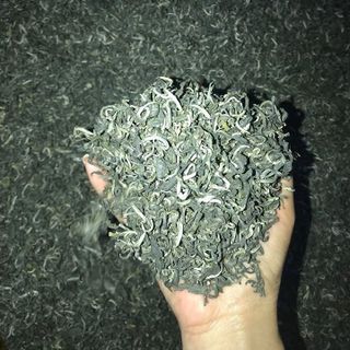 Trà Shan Tuyết Cổ Thụ - Hà Giang