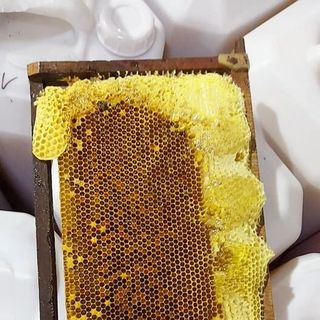 Mật ong Bạc hà Hà Giang chai 1l 14kg