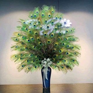 Lông công phong thủy
