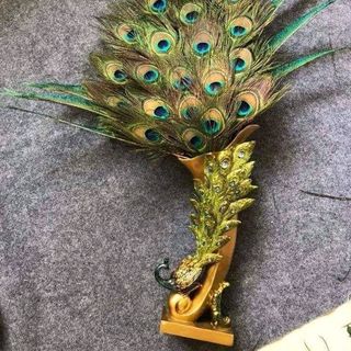 Lông công phong thủy