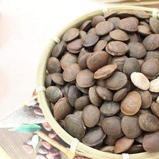 hạt sachi sấy giòn daklak