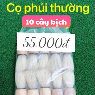 Cọ phủi tóc thường bịt 10 cây giá sỉ