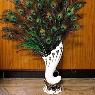 Lông Công Phong thủy tự nhiên mắt to dài 90cm 100cm