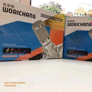 MIC BM900 WOAICHANG