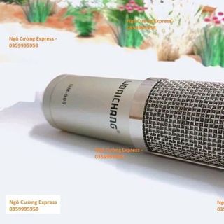 MIC BM900 WOAICHANG