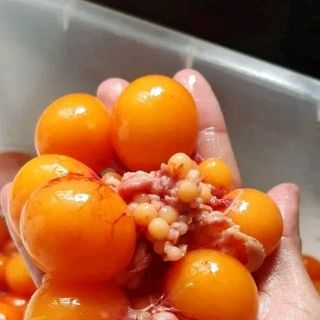 trứng gà non