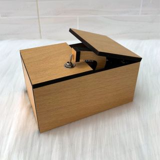 Hộp vô dụng - Useless Box - Dont wake me box