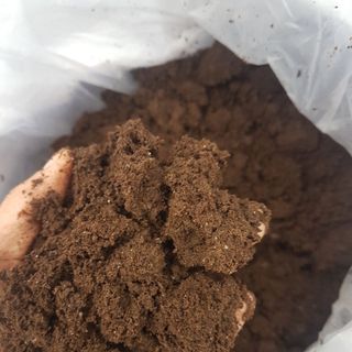 phân trùn quế dạng bột đã qua sử lí
