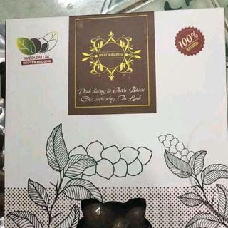 hạt Macca daklak