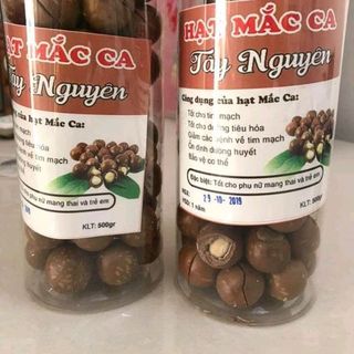 hạt Macca daklak