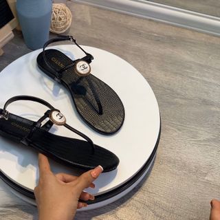 San Đan đa rắn dễ phối