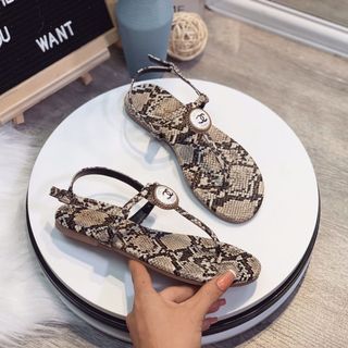 San Đan đa rắn dễ phối
