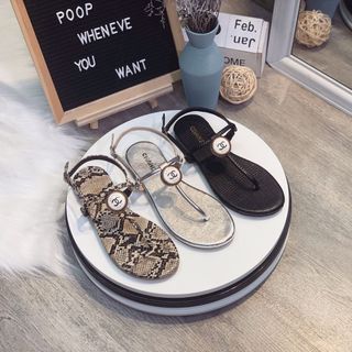 San Đan đa rắn dễ phối