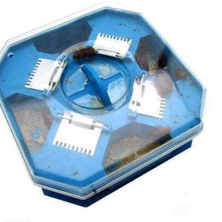 Hộp Bắt Gián Thông Minh giá sỉ​ giá bán buôn