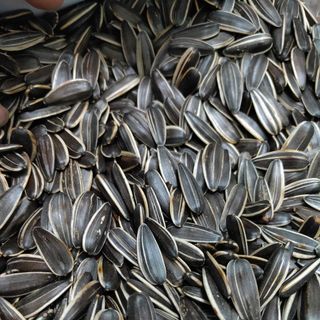 Hạt hướng dương rang chín