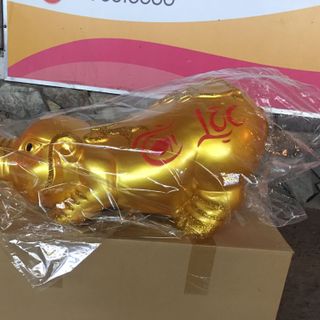 Heo vàng khổng lồ