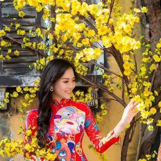 set áo dài truyền thống cá chép