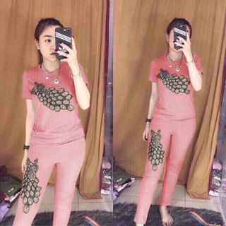bộ coton N5