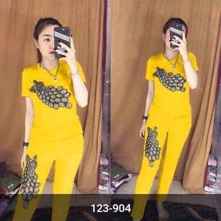 bộ coton N5