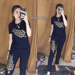 bộ coton N5