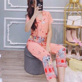 set bộ lụa N1