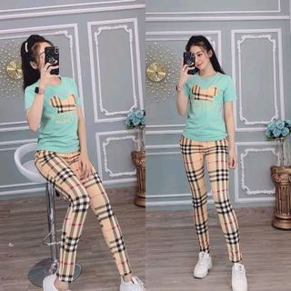bộ coton N10