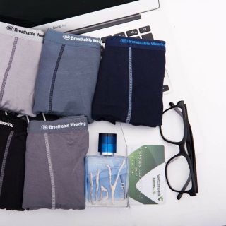 Bán Sỉ Quần Sịp Nam Sợi Tre BW - Đùi