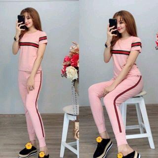 bộ coton N13