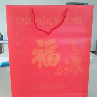 Túi quà tết cỡ trung bền đẹp