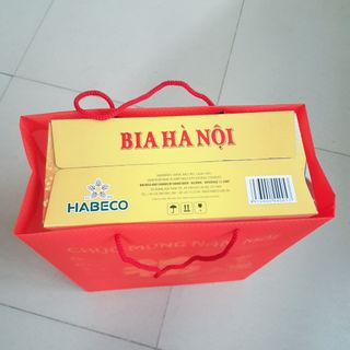 Túi quà tết cỡ trung bền đẹp