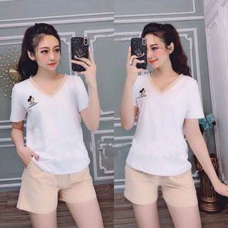 bộ coton N14