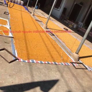 Chai pet phấn hoa - phấn ong 300g - hình thật của